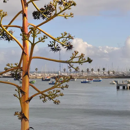 Manelisa 2* カスカイス