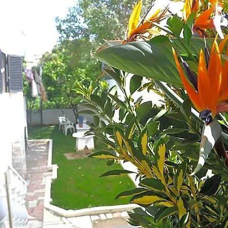 Bed & Breakfast Manelisa