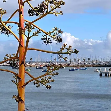 Manelisa Bed & Breakfast Cascais