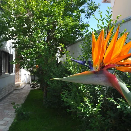 Bed & Breakfast Manelisa
